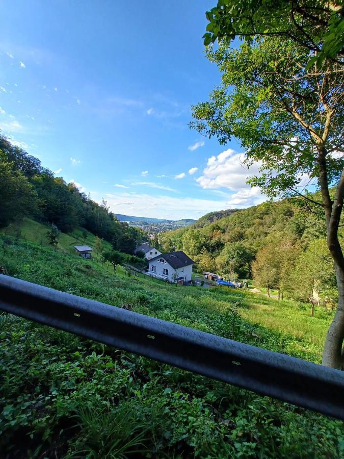 Ferienwohnung Neli Am Rhein Rheinbrohl Exteriér fotografie