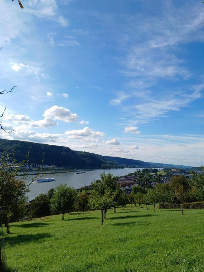 Ferienwohnung Neli Am Rhein Rheinbrohl Exteriér fotografie