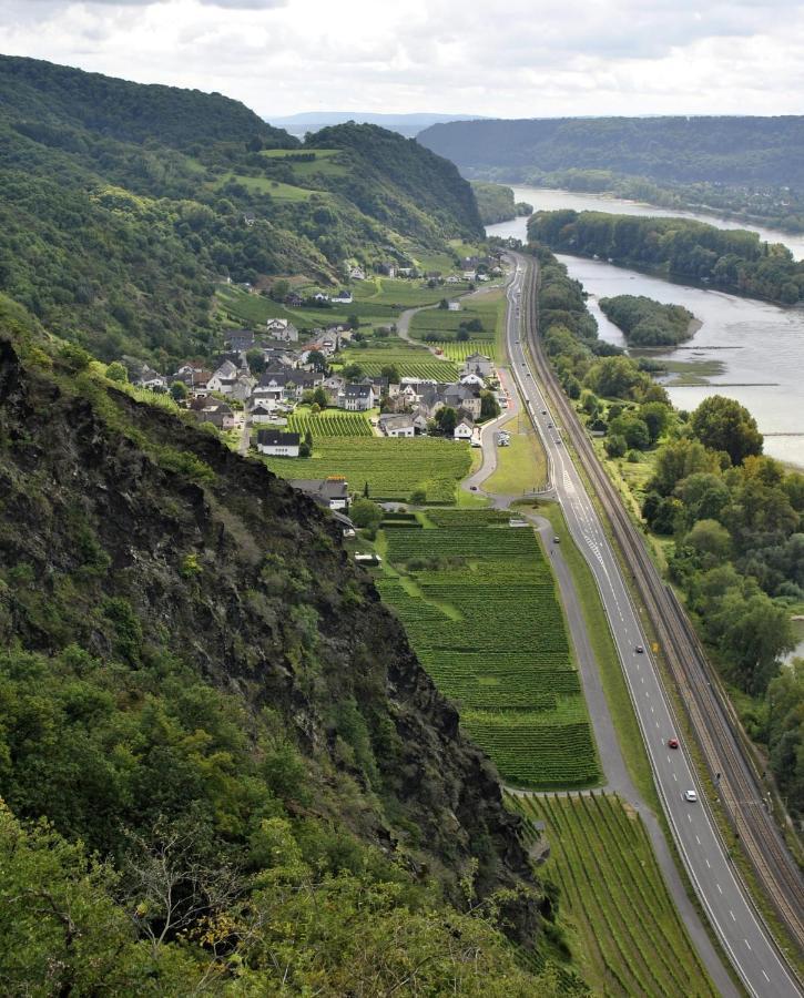 Ferienwohnung Neli Am Rhein Rheinbrohl Exteriér fotografie