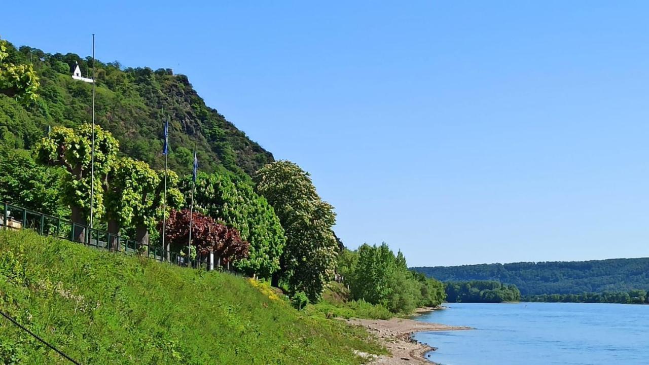 Ferienwohnung Neli Am Rhein Rheinbrohl Exteriér fotografie