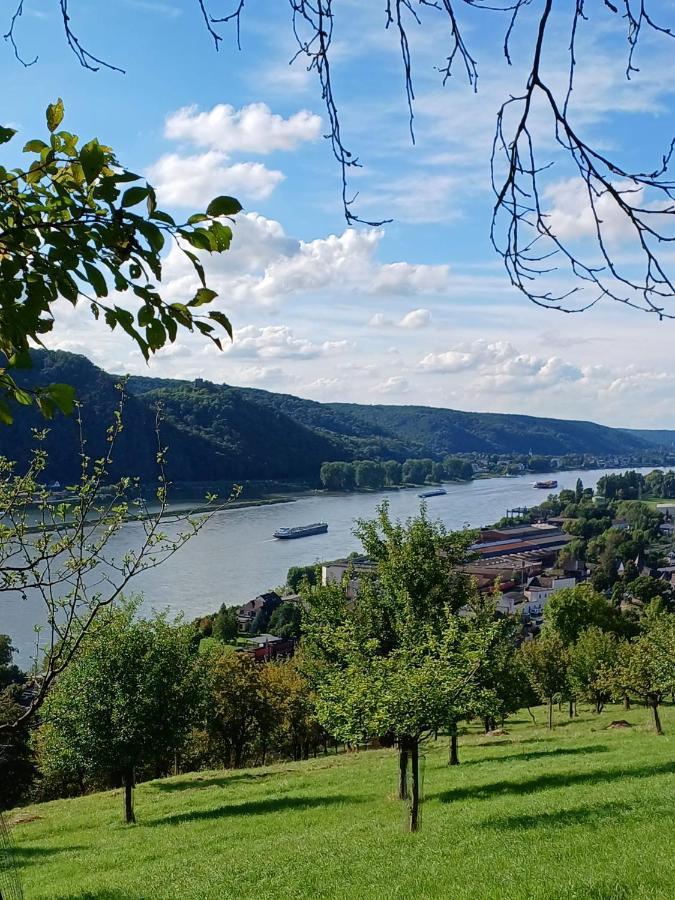 Ferienwohnung Neli Am Rhein Rheinbrohl Exteriér fotografie